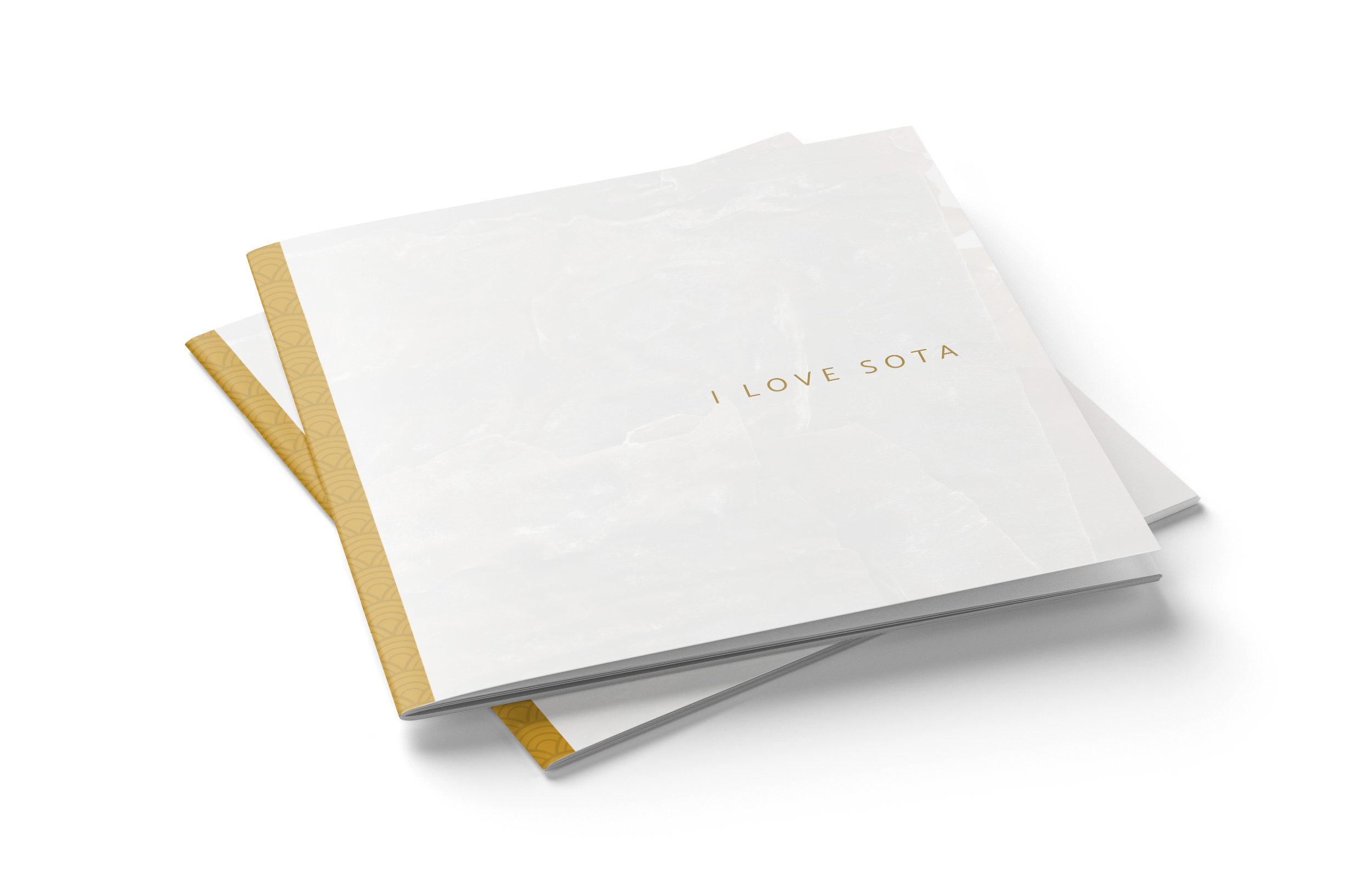I love SOTA folder
